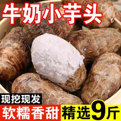 山东牛奶芋头现挖新鲜小芋头小毛芋艿新鲜农家自种小毛芋5斤包邮