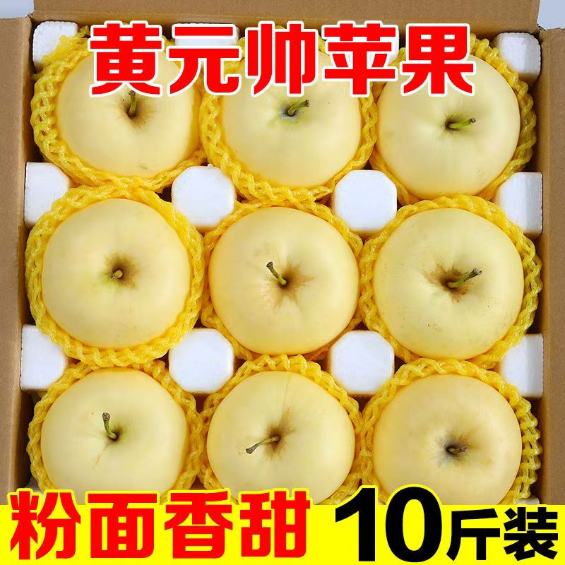 正宗黄元帅苹果新鲜水果黄金帅粉面苹果应季老人宝宝辅食刮泥10斤