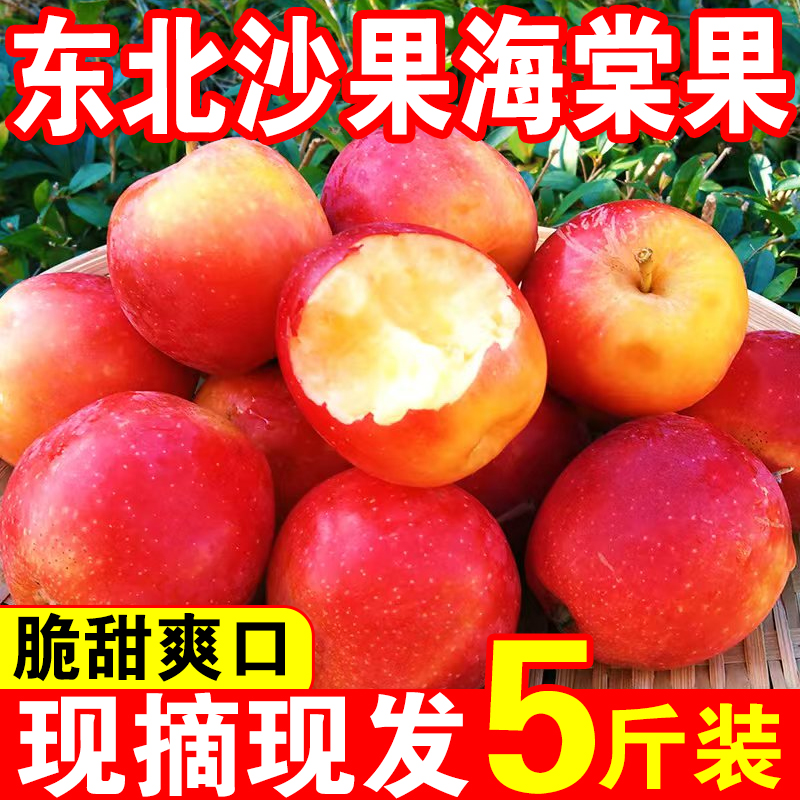 东北特产海棠果秋红果沙果新鲜当季应季孕妇水果酸甜脆花红小苹果