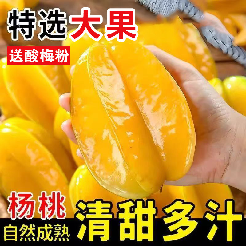 正宗福建特产甜杨桃新鲜水果整箱包邮当季红扬桃五角星 阳桃 包邮图片