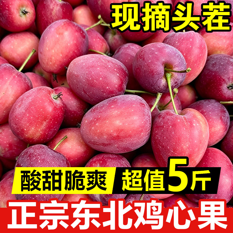 东北特产鸡心果小沙果锦绣海棠果酸甜当季应季孕妇小苹果整箱包邮