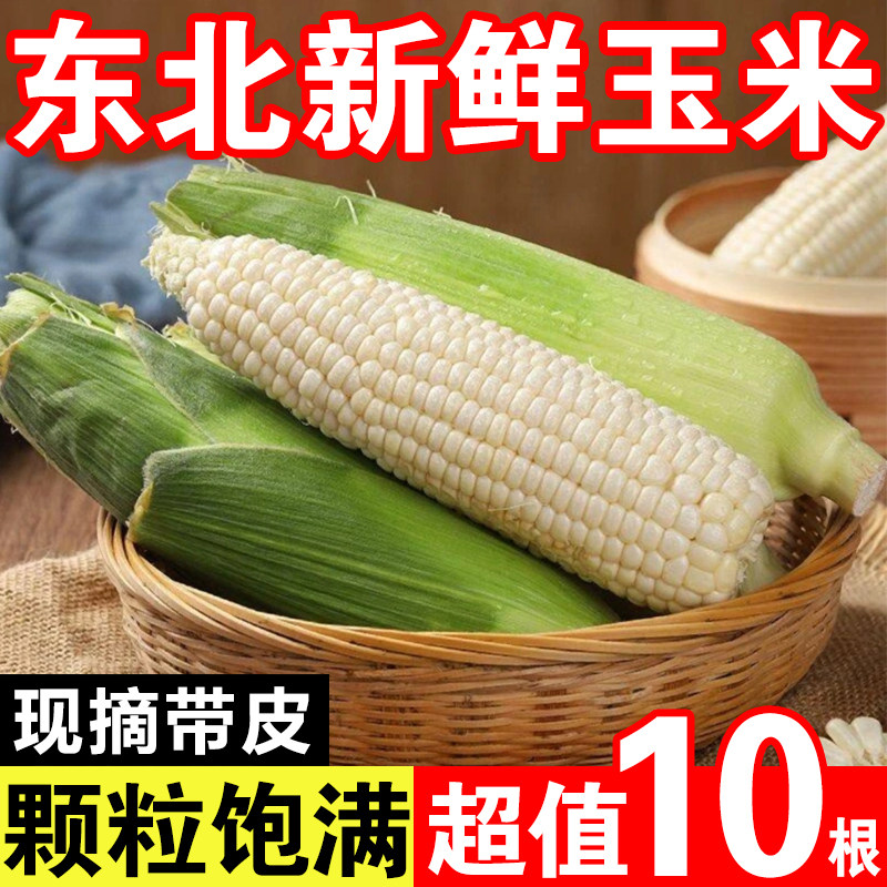东北新鲜粘玉米软糯粘现摘带皮玉米棒苞谷老品种白玉米带箱10斤图片