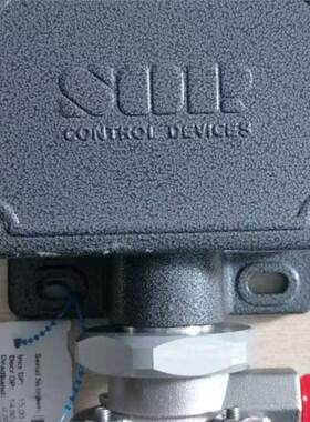 美国压力开关 流量/液位/差压开关101RN-EE3-N4-C1A