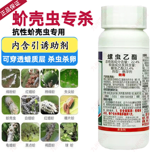 蚧壳虫专用药必治多肉柿子柑橘果树月季螺虫乙酯杀卵剂农用店大全