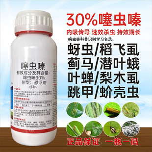 农药杀虫剂30%噻虫嗪蚜虫果茶树叶蝉飞木水稻白粉虱食心蓟马柑橘