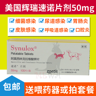 速诺片治疗猫鼻支猫咪感冒药速诺消炎狗阿莫西林克拉维酸钾猫宠物