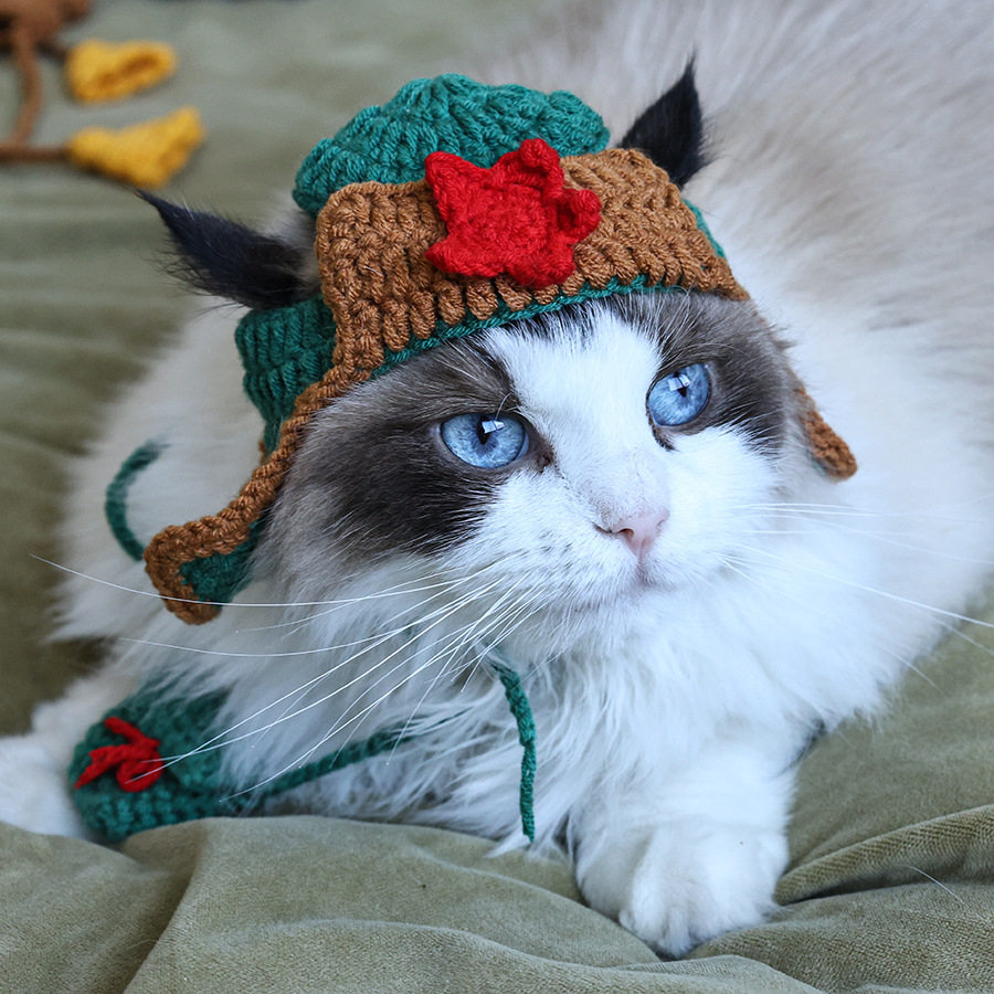 宠物帽子手工针织新款猫咪五角红星帽狗狗cosplay拍照饰品帽套装