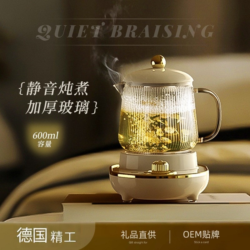 德国精工花茶壶家用烧水杯煮茶专用办公室养生壶迷你小型便携