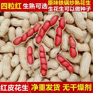 25年红皮四粒红带壳红皮花生带壳花生农家晒干生熟可选原味炒花生