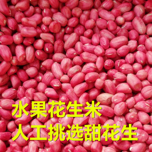 水果甜花生米25年新花生河北净重农家红衣无壳红皮新鲜水果花生米