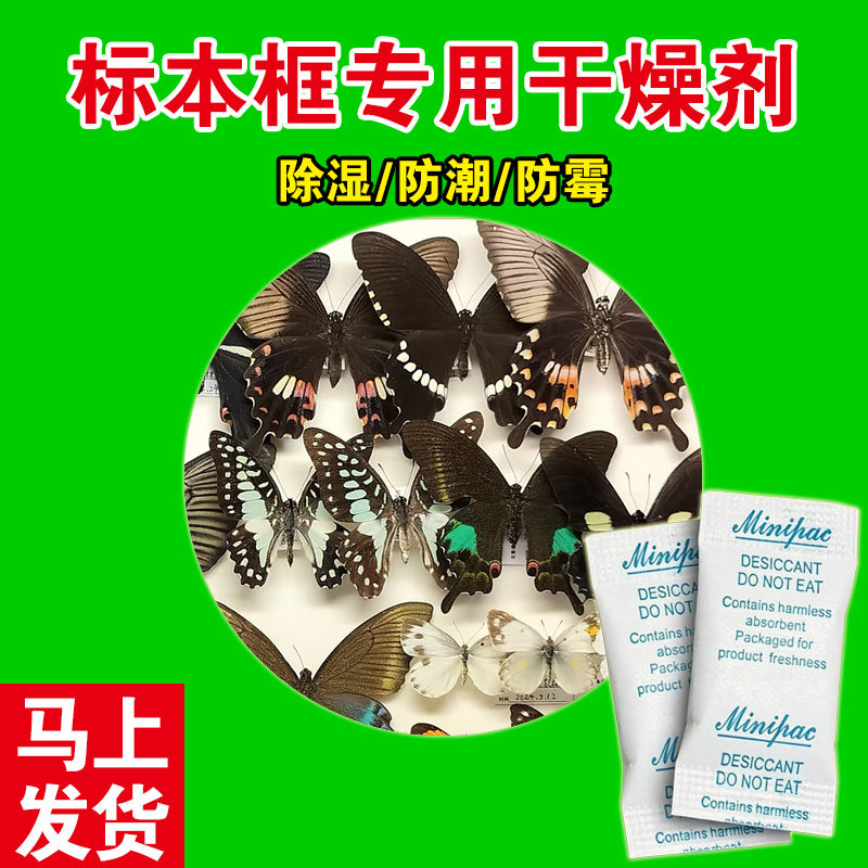 植物昆虫标本干燥剂蝴蝶甲虫防潮除湿吸湿防霉展示相框专用图片