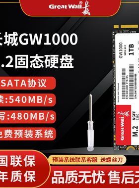 长城M2接口sata协议固态硬盘256g高速512GB台式机笔记本电脑1tSSD