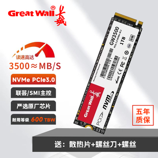 长城m2固态1TB硬盘512G高速NVME台式 机2TBSSD笔记本PCIE3.0一体机