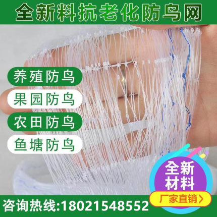 新款防鸟网养鸡家禽养殖网草莓葡萄樱桃果园果树网尼龙网白色耐用