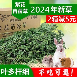 龙猫兔子草兔粮兔饲料 幼兔干草 25年 新鲜烘干紫花苜蓿草1KG