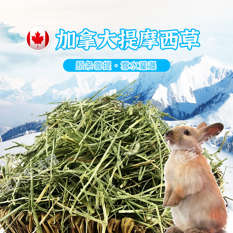 加拿大进口 落基山提摩西草500g 雪水灌溉  兔子龙猫牧草干草,宠物/宠物食品及用品,兔兔干草,淘宝优惠券,粉丝福利购,淘宝优惠卷