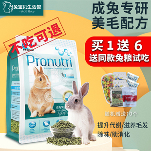 膨化兔饲料 营养美毛 兔博士兔粮900g 成兔提摩西草主粮 bunny