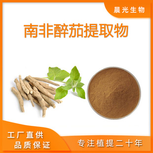 南非醉茄提取物 南非醉茄内脂酯 印度人参冬樱花催眠醉茄提取物粉