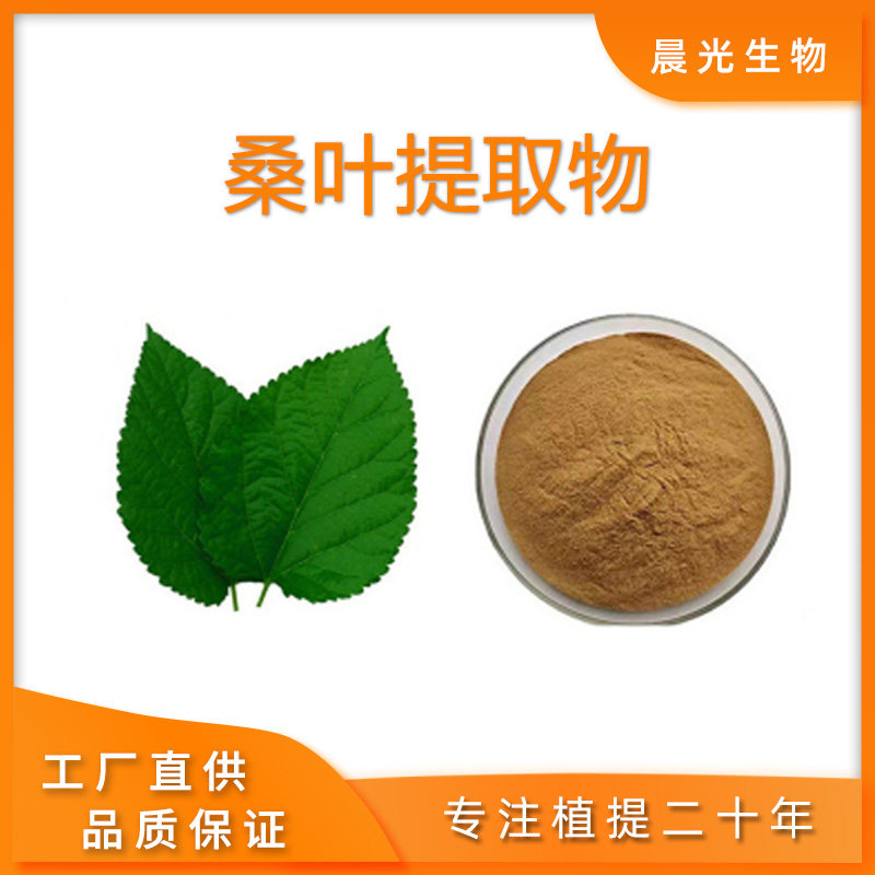 桑叶提取物 桑叶浓缩精华粉末20:1天然植物专业提取工厂包邮