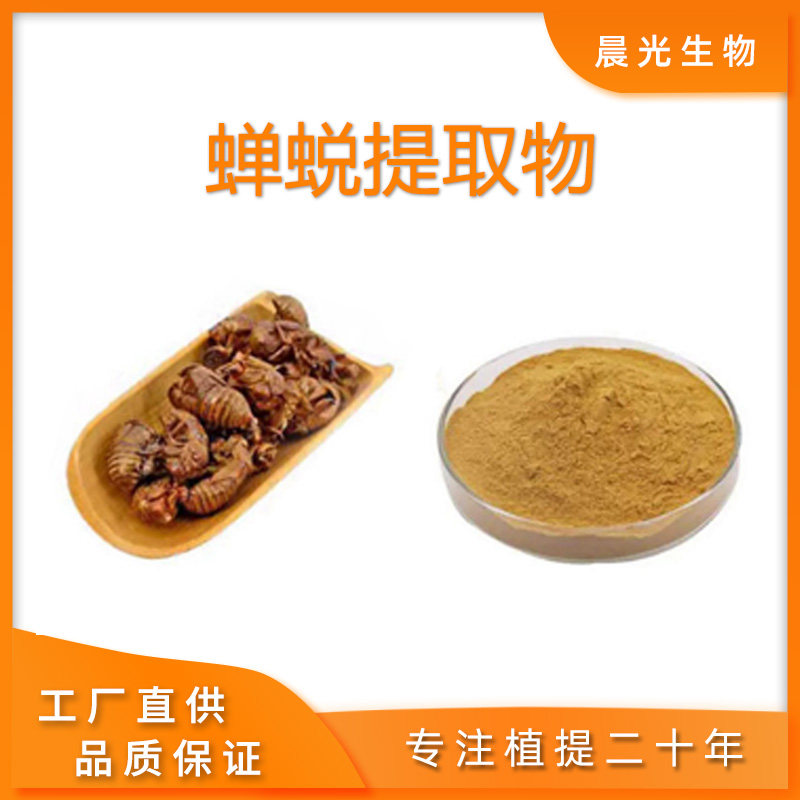 蝉蜕提取物 知了皮知了壳 蝉壳粉 蝉衣提取物现货包邮工厂直发
