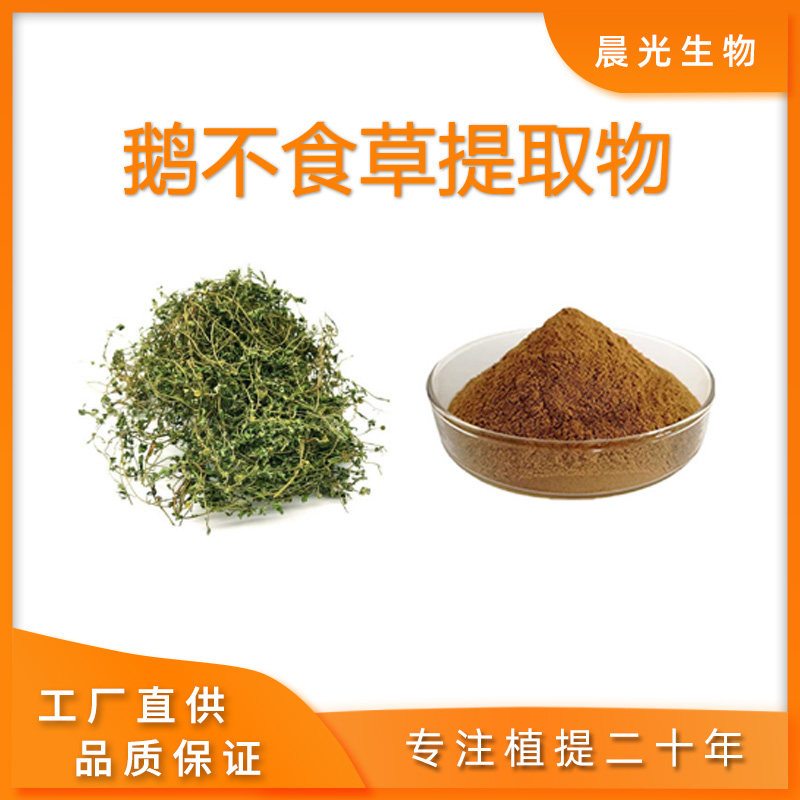 鹅不食草提取物 新品水溶 鹅不食草浓缩精华粉末 30:1 天胡荽萃取