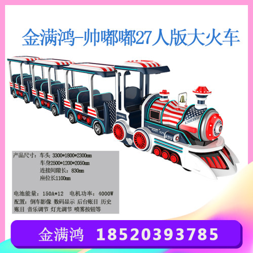 金满鸿电动游乐设施大火车