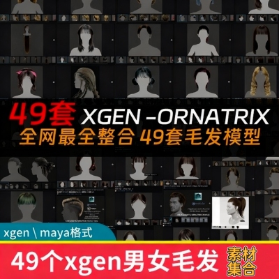 49个xgen头发maya男性女性毛发合集现代帅哥美女头发型3D模型