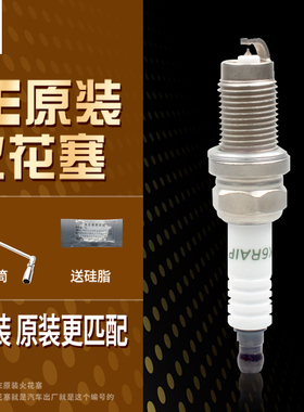 OE218火炬原装铱铂金火花塞LDK8RTIP-B适配捷途X90奇瑞瑞虎星途