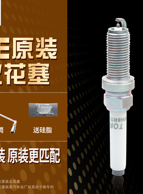 OE216火炬火花塞适配传祺GS8M8M6 PRO影豹影酷原装VH8RTIP-8BV