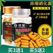 洁宝胶囊超浓缩硝化细菌益生菌水族硝化菌净化水质鱼缸净水剂60粒