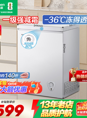 容声100L小冰柜家用冷柜节能保鲜商用小型冷冻保鲜小冰箱官方正品
