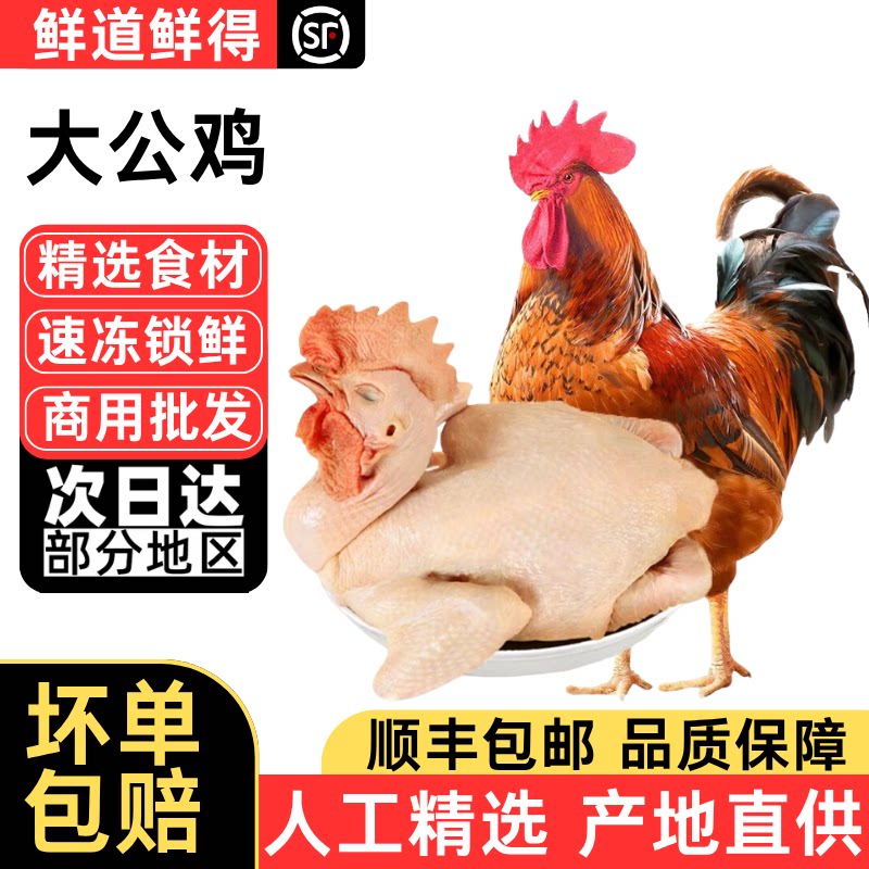 黄脚大公鸡土鸡跑山走地鸡笨公鸡麻脚鸡整只新鲜现杀鸡肉农家散养