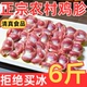 新鲜鸡胗6斤鸡肫鸡郡花鸡肾鸡杂鸡内脏熟食烧烤火锅清真食材2斤