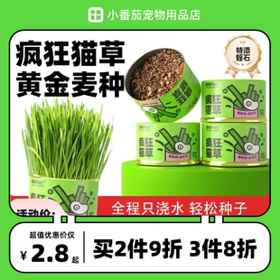 冒险与它猫草30g懒人猫草种植猫咪零食大麦苗化毛球猫猫零食罐头