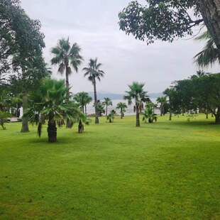 一分钱壁纸素材漫画0.01元 商品自动发货秒发秒评电脑手机动漫头像