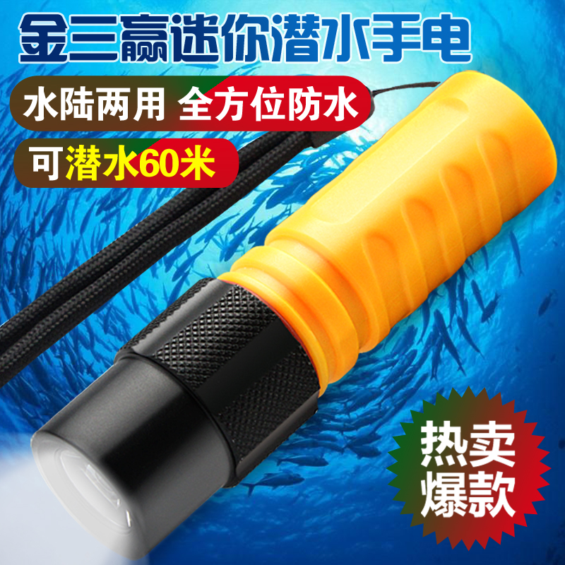 登山远射小型特价拍卖潜水手电筒