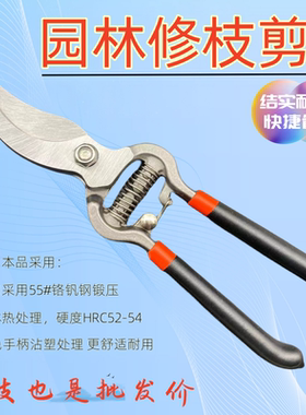 园林剪枝修枝剪刀盆景专用工具盆栽园艺制作叶芽剪水口钳花艺剪刀