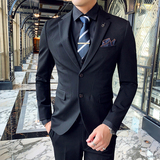秋冬新款英伦韩版修身男士商务二粒扣单件西服外套X145-P155，男装西服，电商C308