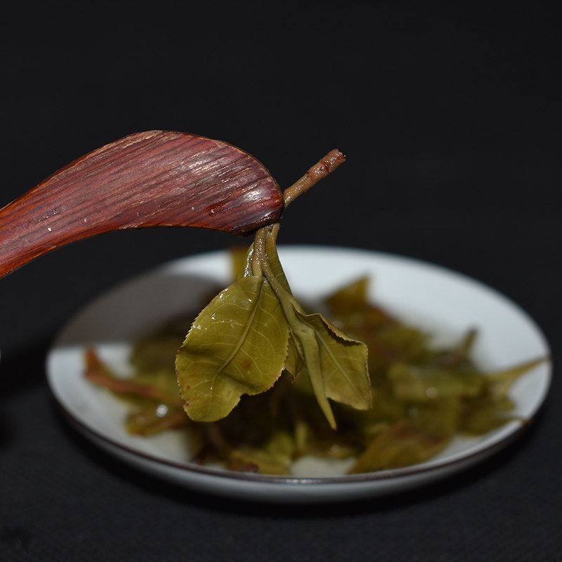 2026年云南普洱茶生茶大树乔木散装古树251g头春茶鲜爽回甘高香