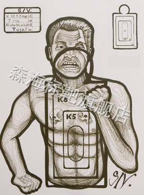 标靶R71战术靶纸 EVA靶 40*30CM 射击、竞技、练习靶纸 Target