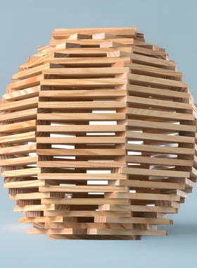 大尺寸卡普乐幼儿园玩具原木榉木构建阿基木制儿童积木条拼装米德