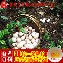 2020新品上市湖南湘西正宗农家新鲜散养土鸡蛋自产自销30枚装包邮