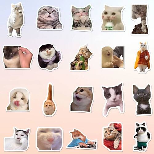 100张包浆猫meme贴纸可爱搞笑鬼畜猫咪ins风表情包梗图素材小贴纸