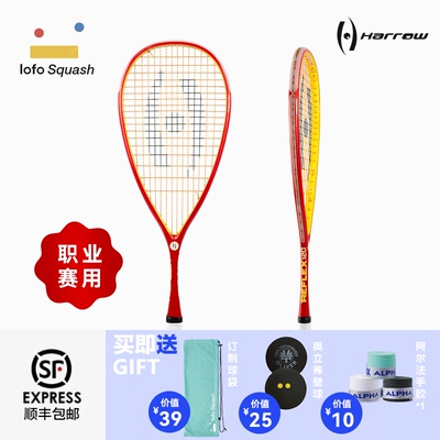 harrow壁球拍高端专业高颜值超轻