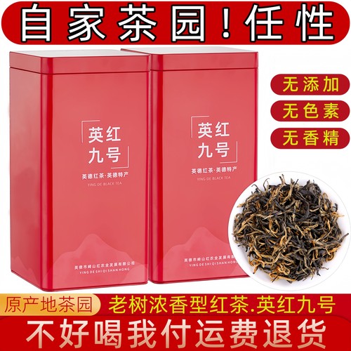 浓香型英红九号春茶礼盒红茶