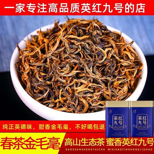 新茶高山老树英德红茶英红九号浓香型金毛毫特级明前春茶花香 - 封面