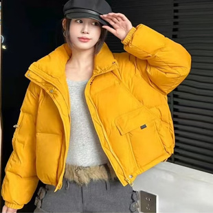 2025冬季女装高级感小个子百搭短外套显摆保暖时尚立领羽丝羽绒服