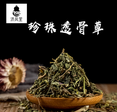 济风堂  珍珠透骨草 地构菜透骨草 枸皮草 道地无硫 50~500克