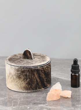 轻奢金属马毛无火香薰晶石扩香器