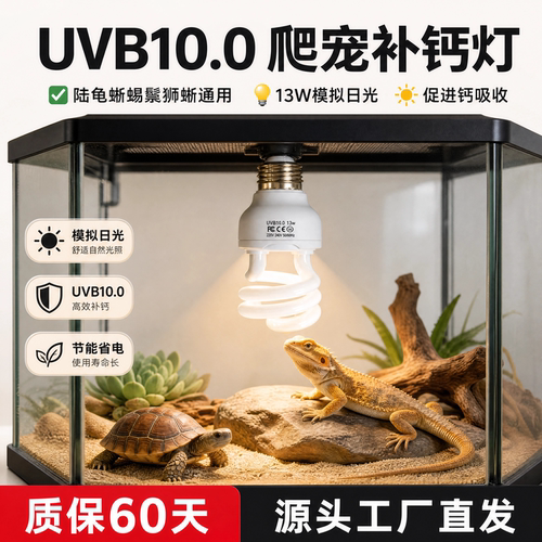 爬宠UVB补钙晒背节能灯